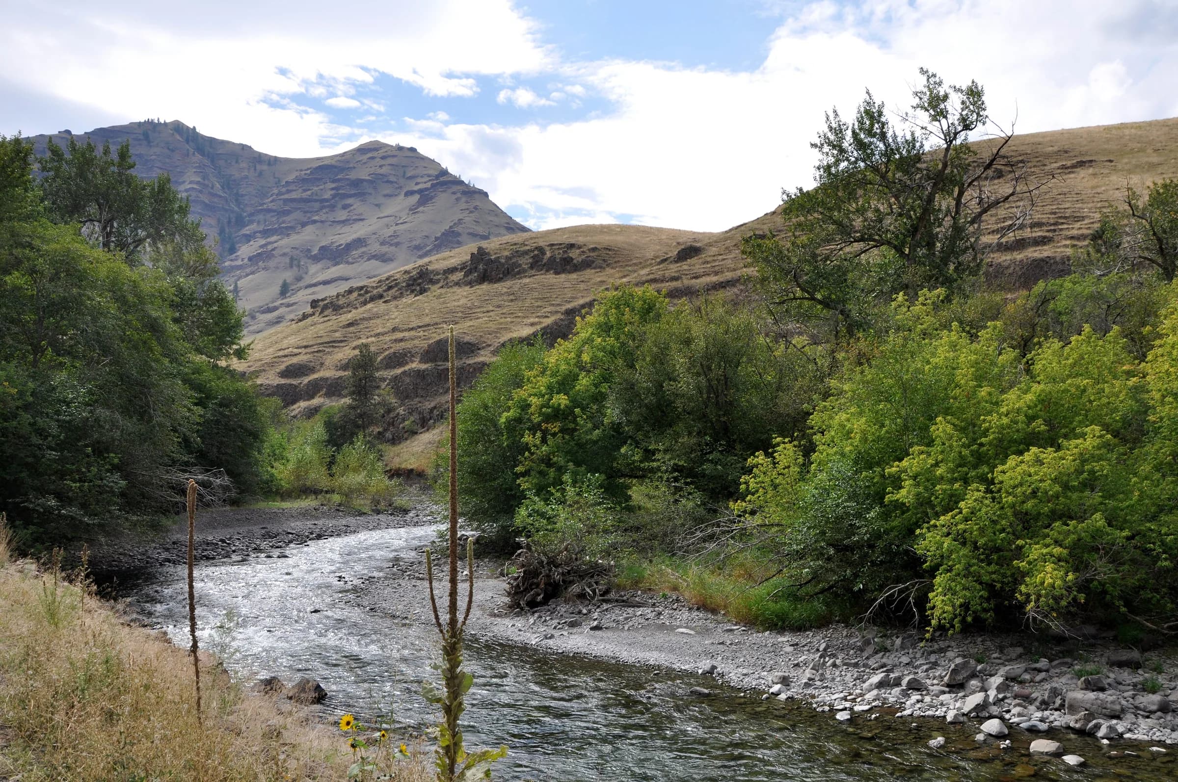 The Imnaha River near the community of Imnaha.