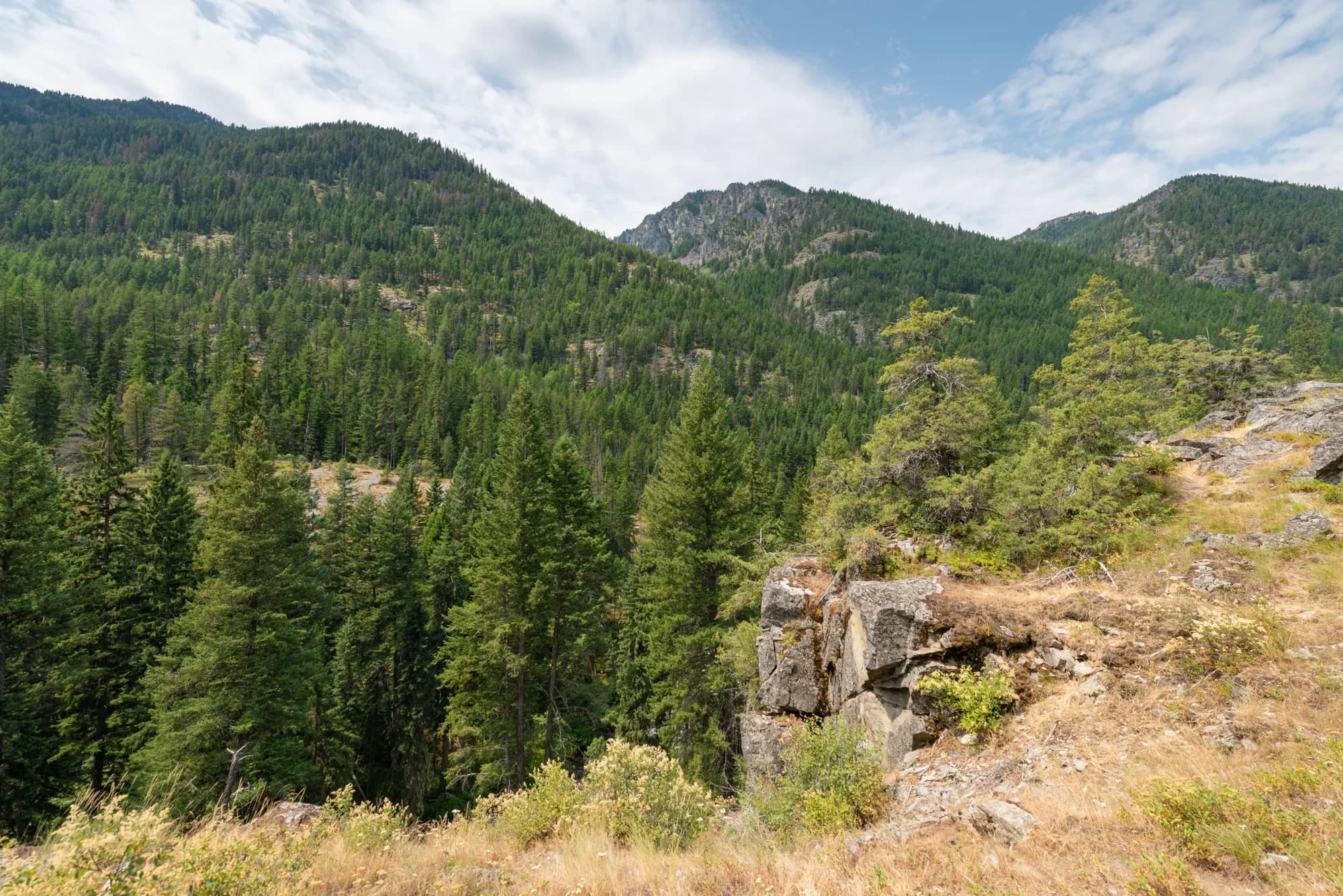 Forested slopes and rocky ground along Upper Lostine Road.