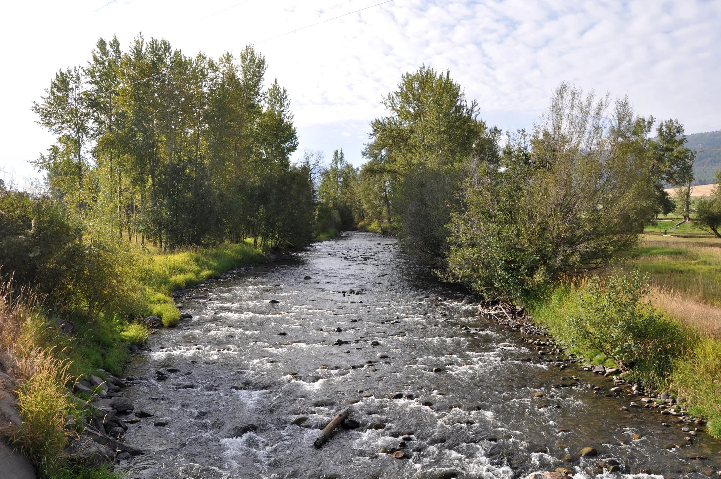 The Lostine River at Lostine. Community context for this record.