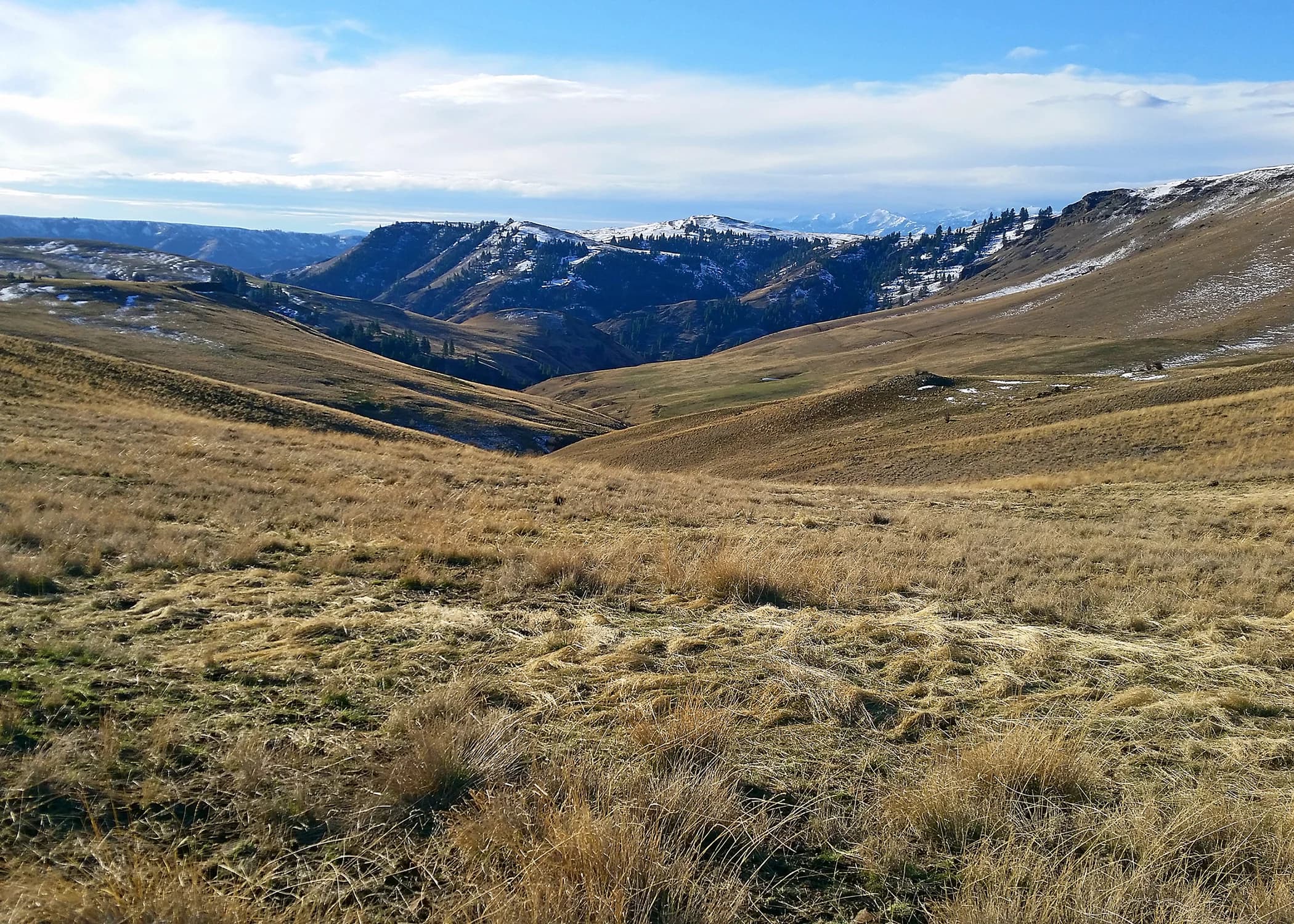 Zumwalt Prairie Preserve, with Lightning Creek and the Wallowa Mountains in the background.