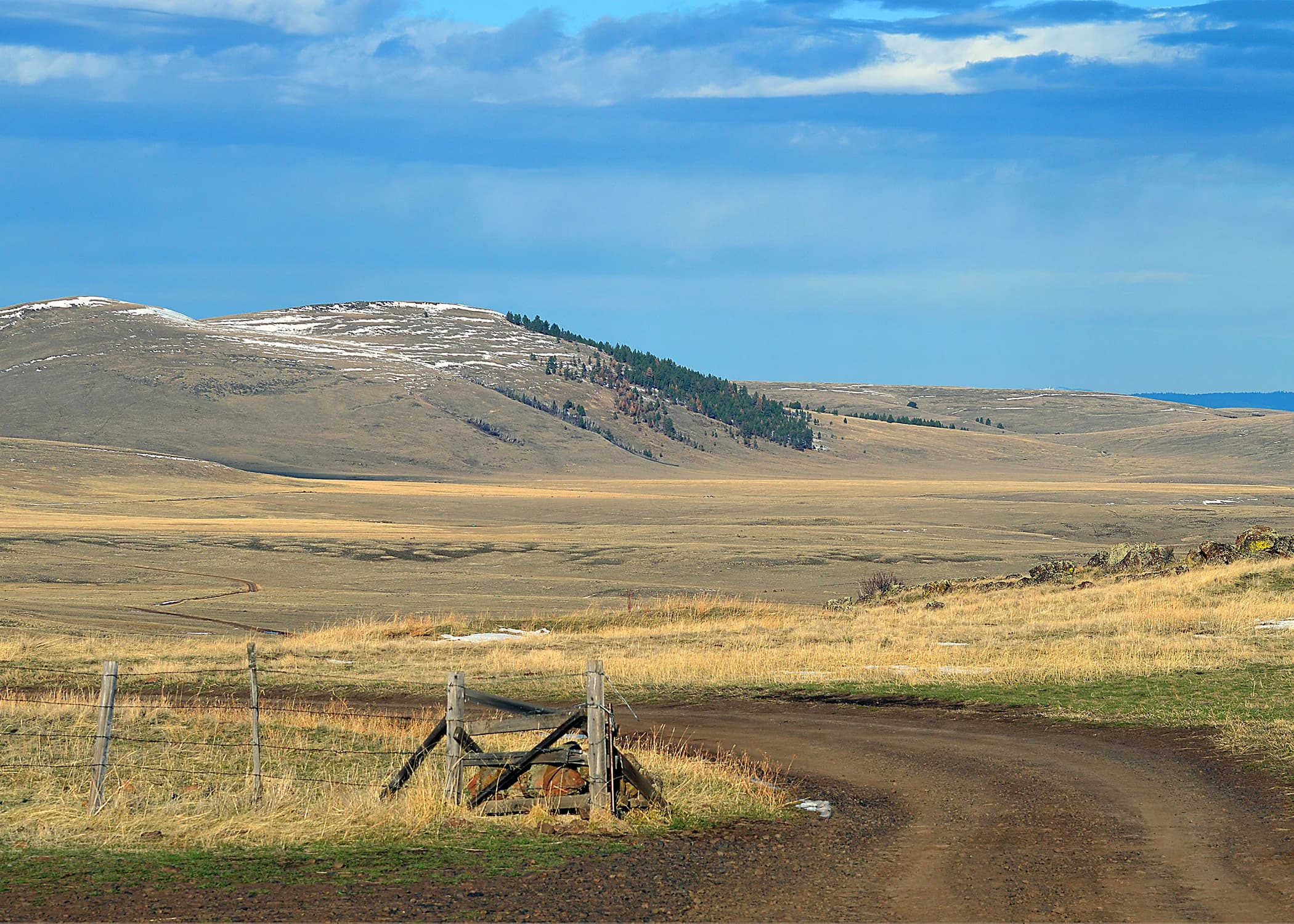 A road, fence, and open prairie on the Zumwalt.