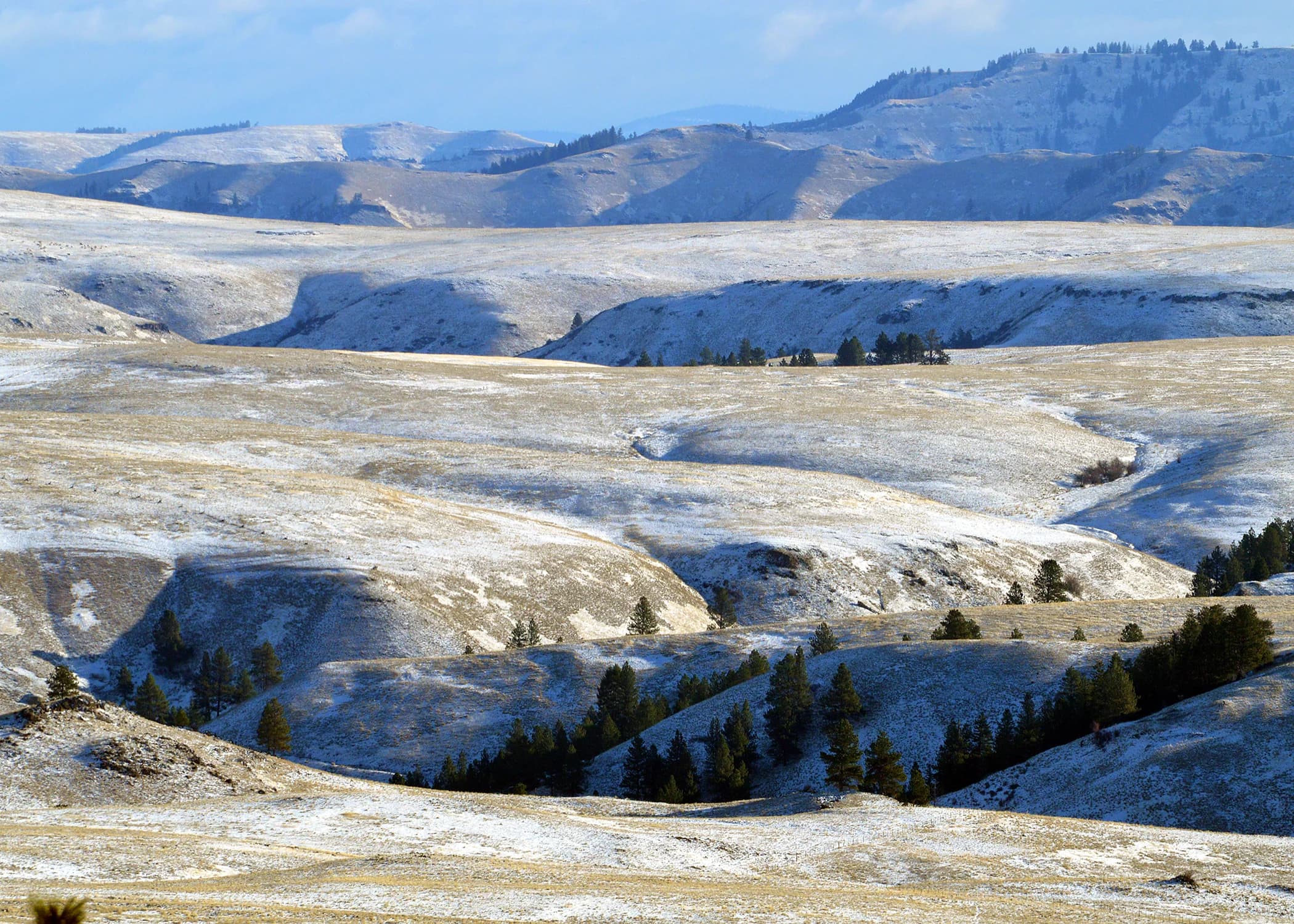 Snow across the rolling terrain of Zumwalt Prairie.